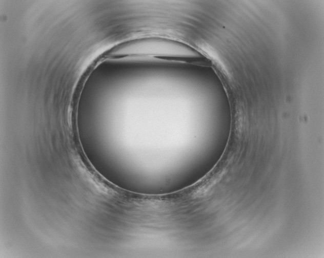 X0000088610932200706151823