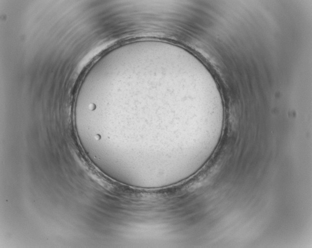 X0000088610933200706151823