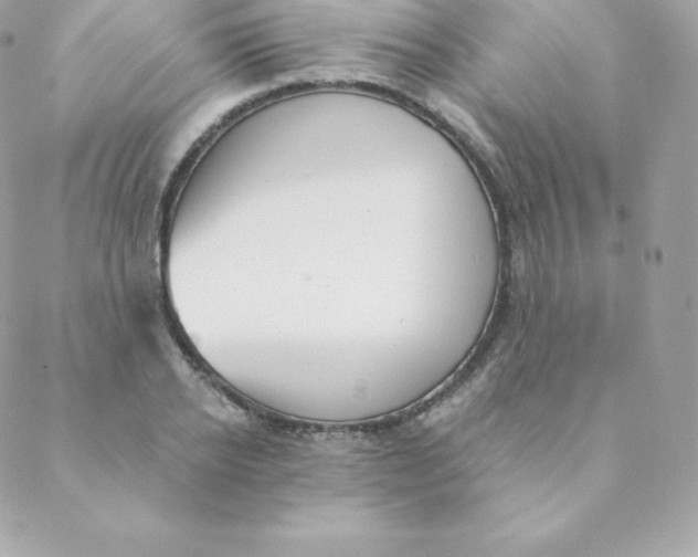 X0000088610934200706151823