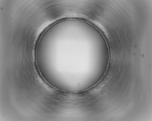 X0000088610935200706151823