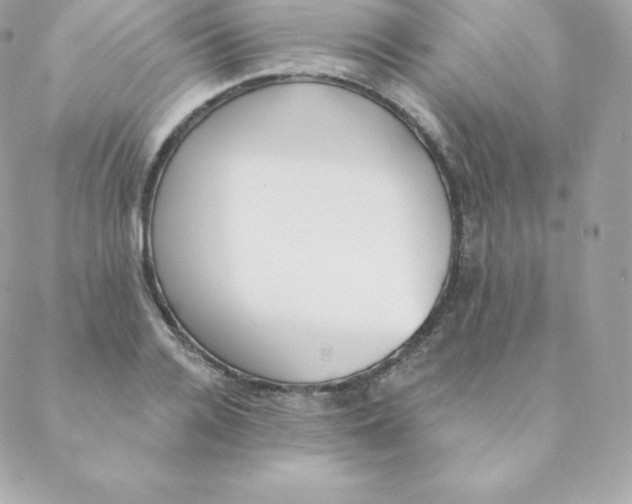 X0000088610936200706151823