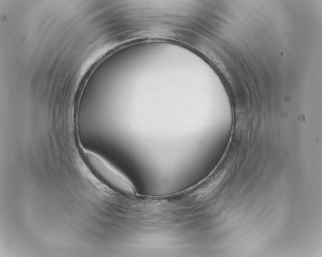 X0000088610939200706151823