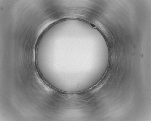 X0000088610940200706151823