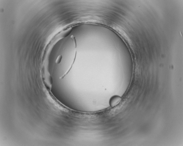 X0000088610941200706151823