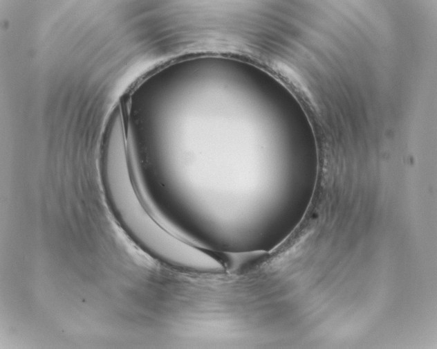 X0000088610942200706151823