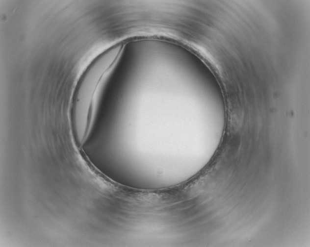 X0000088610943200706151823