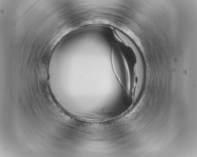 X0000088610945200706151823