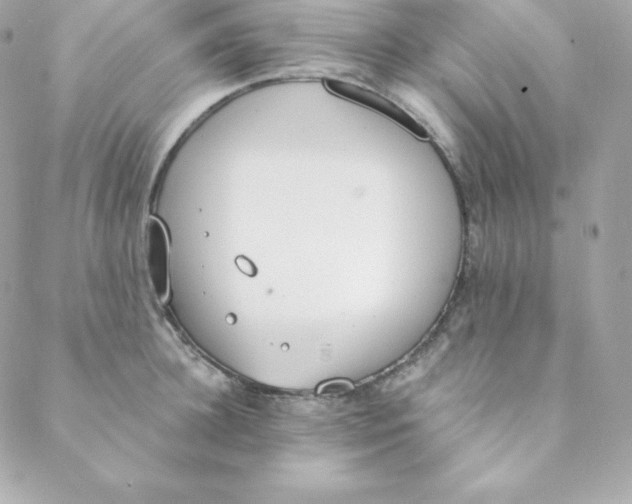 X0000088610948200706151823