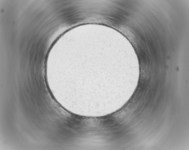 X0000088610950200706151823