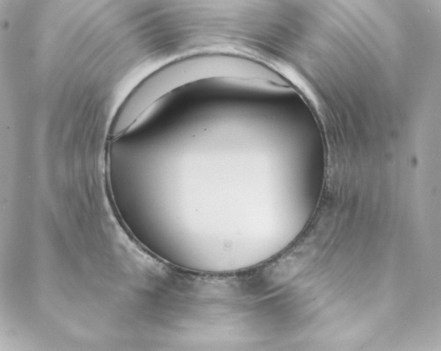 X0000088610951200706151823