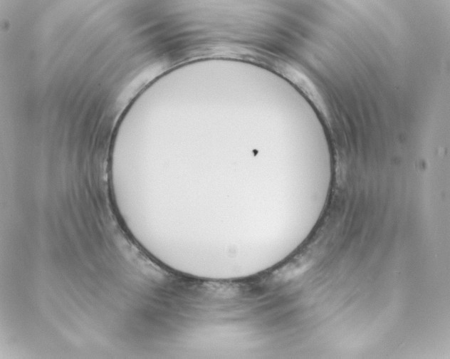 X0000088610954200706151823