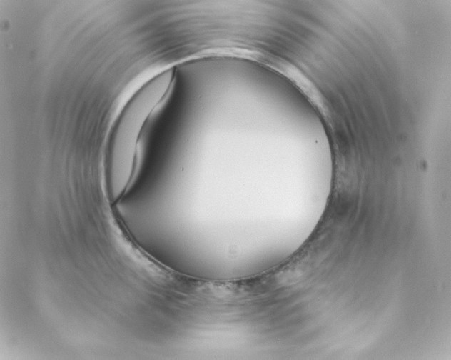 X0000088610955200706151823