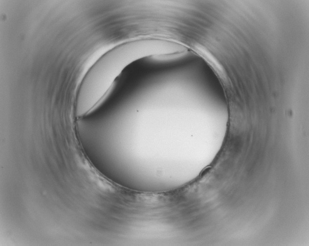 X0000088610956200706151823