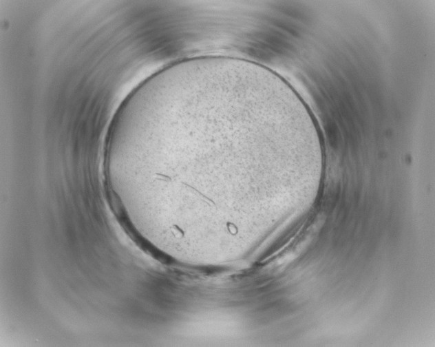 X0000088610957200706151823