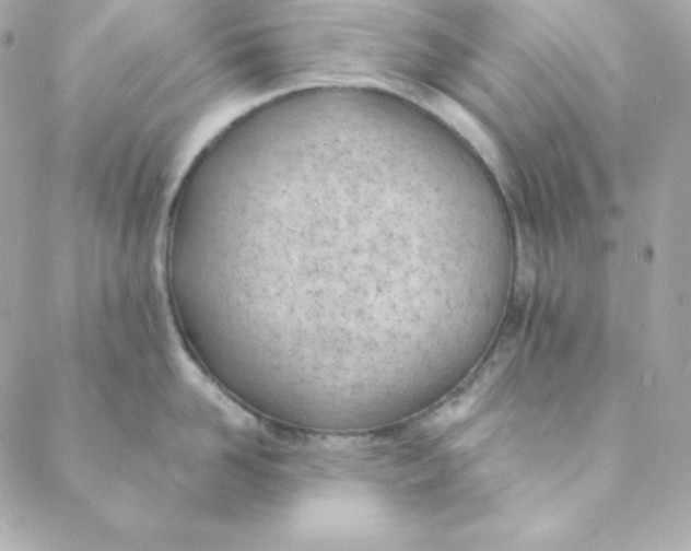 X0000088610958200706151823