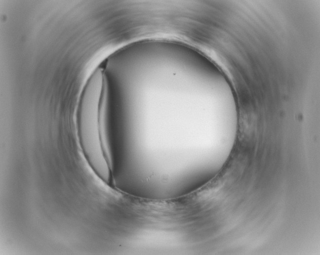 X0000088610959200706151823