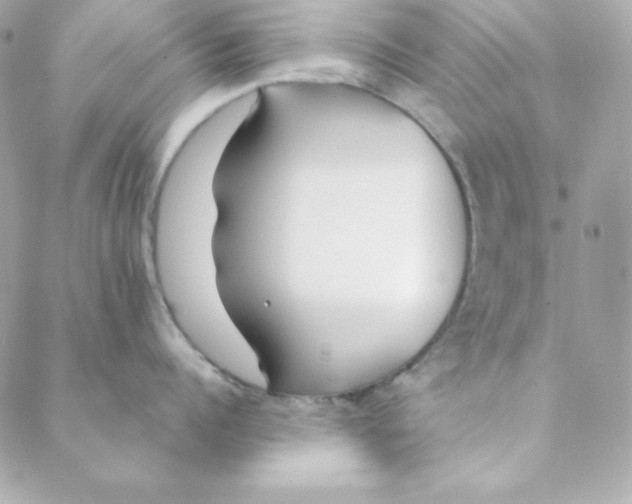 X0000088610960200706151823