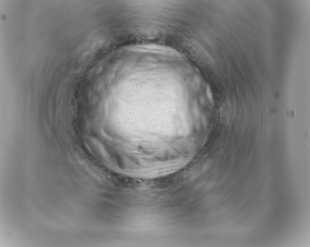 X0000088610961200706151823