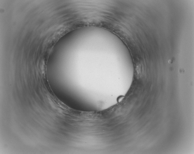 X0000088610963200706151823