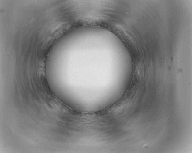 X0000088610964200706151823