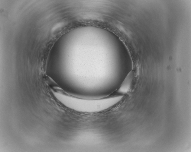 X0000088610965200706151823