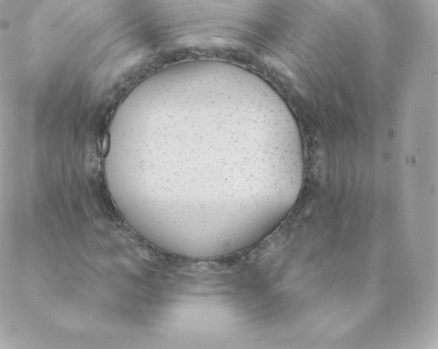 X0000088610966200706151823