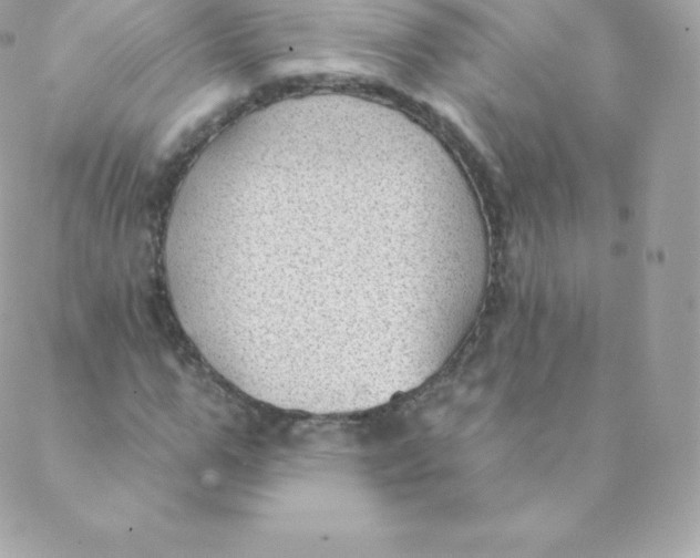 X0000088610967200706151823