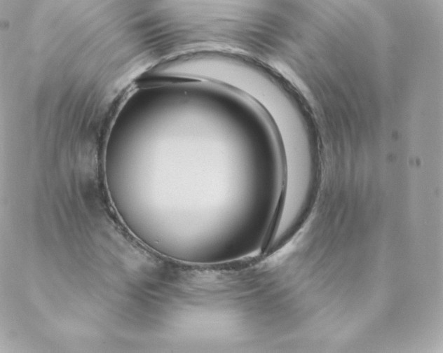 X0000088610969200706151823