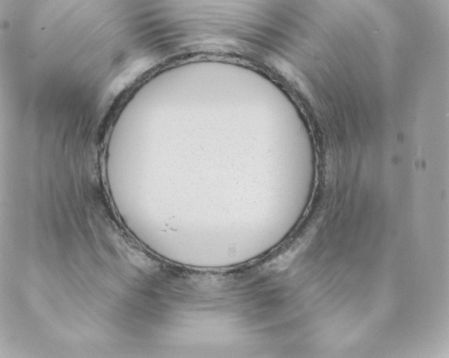 X0000088610970200706151823