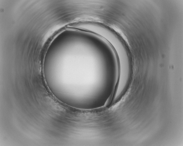 X0000088610973200706151823