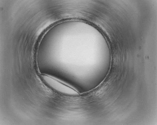 X0000088610975200706151822