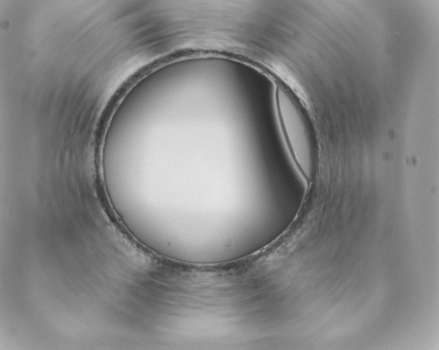 X0000088610976200706151822