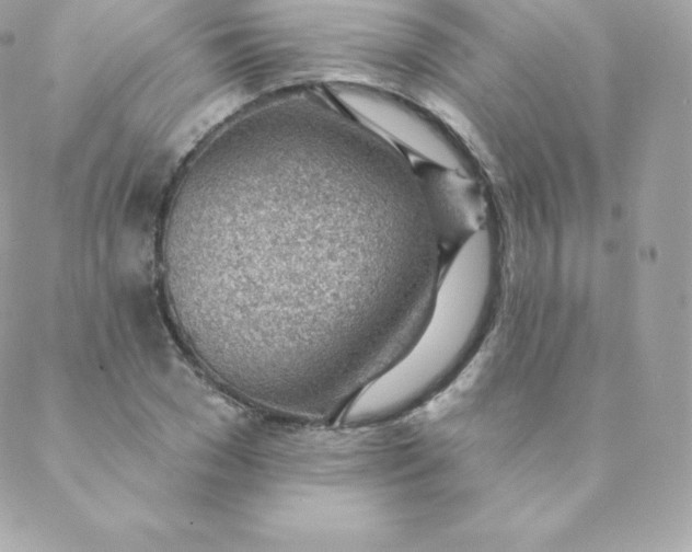 X0000088610977200706151822