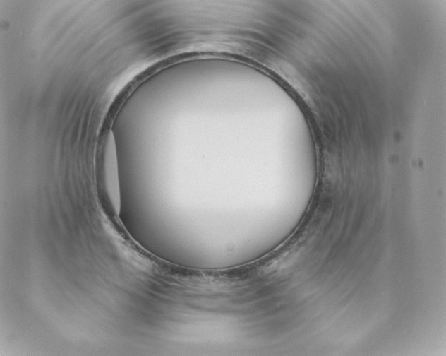 X0000088610980200706151822