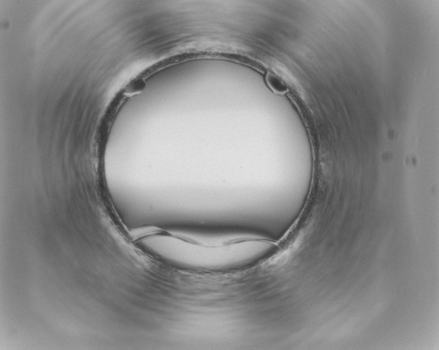 X0000088610981200706151822