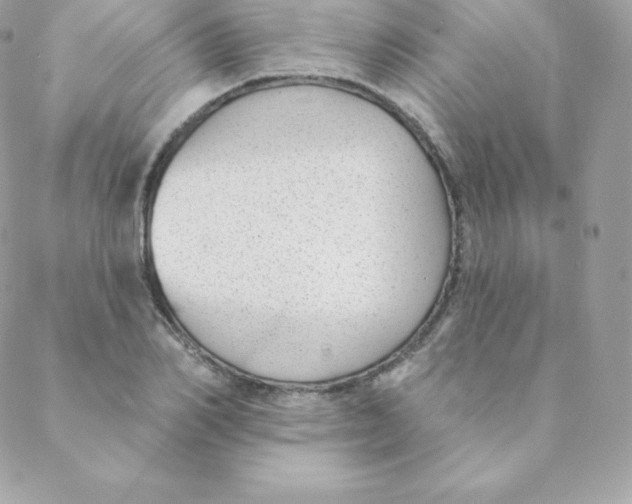 X0000088610982200706151822