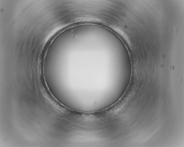 X0000088610983200706151822