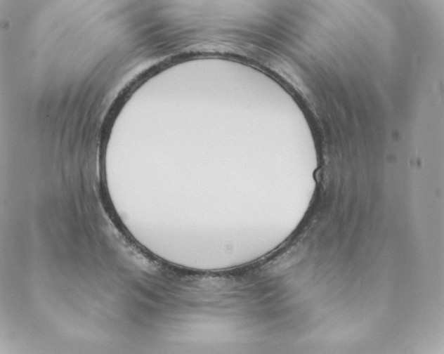 X0000088610984200706151822