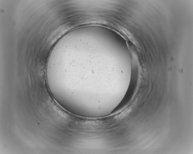 X0000088610985200706151822