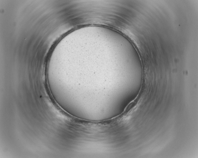 X0000088610987200706151822