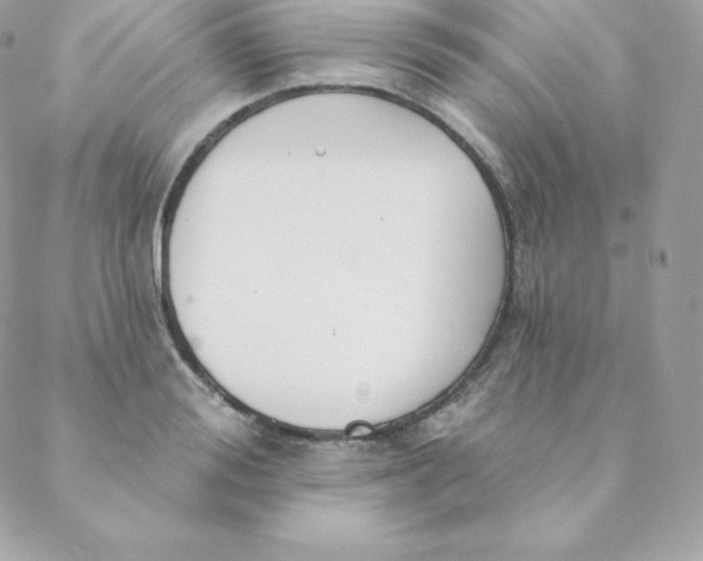 X0000088610988200706151822