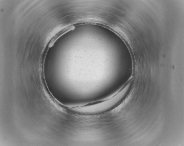 X0000088610989200706151822