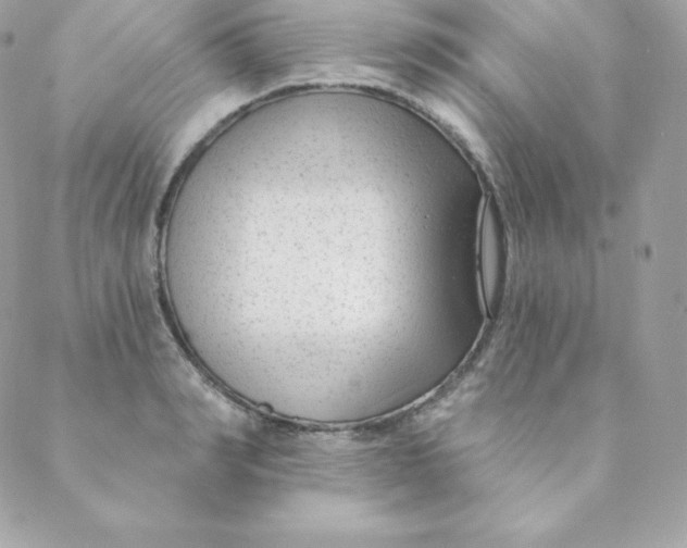 X0000088610990200706151822