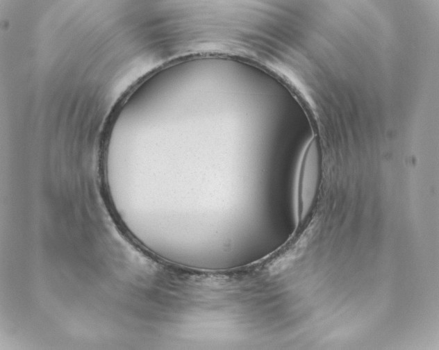 X0000088610991200706151822