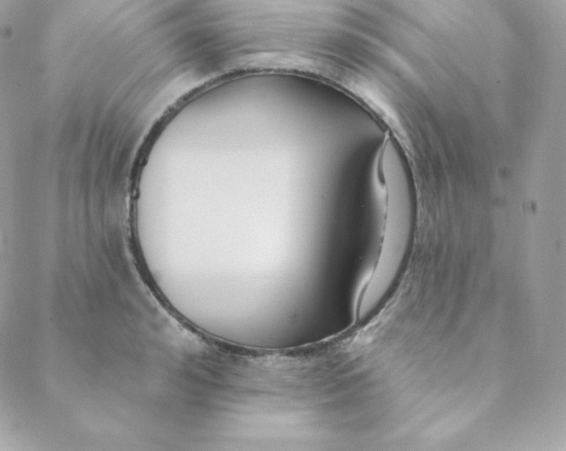 X0000088610992200706151822