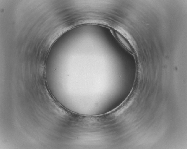 X0000088610993200706151822