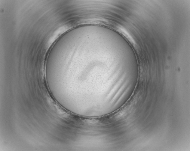 X0000088610994200706151822