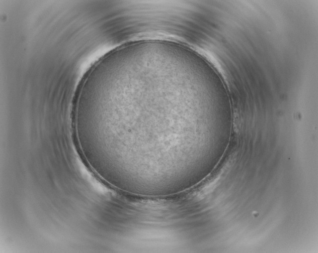 X0000088610995200706151822