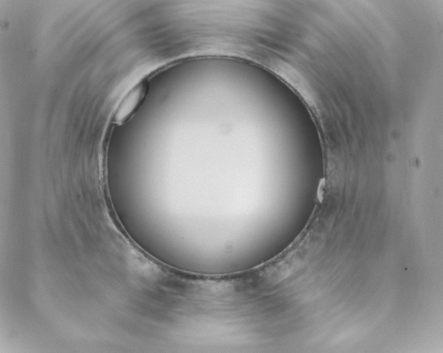 X0000088610996200706151822