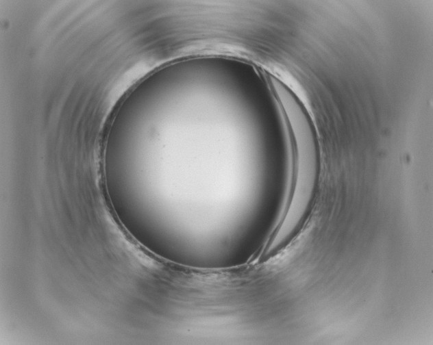 X0000088610997200706151822